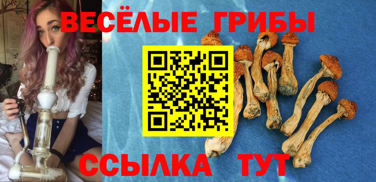 Канабис  Меф МЯУ МЯУ  Зерноград  МЕФ кристаллы  APVP СК   Гашиш  Кокаин  Вход с VPN 